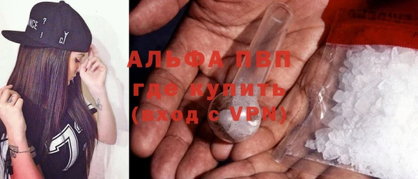 СК Пересвет
