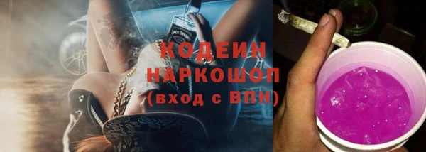 СК Пересвет