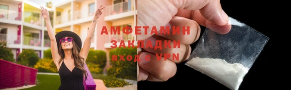 СК Пересвет