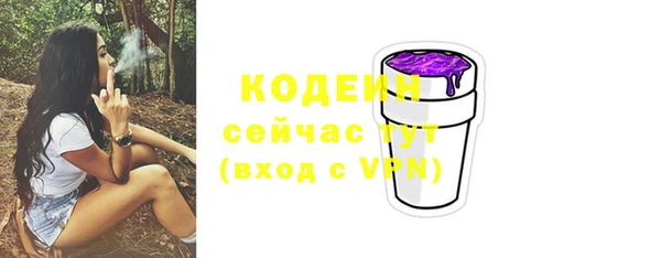 СК Пересвет
