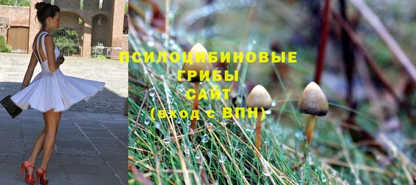 МДПВ Пестово