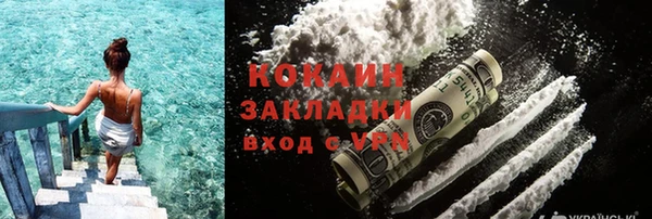 трава Осинники