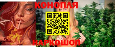 стафф Балаково