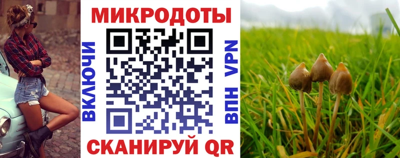 Галлюциногенные грибы Cubensis маркетплейс клад Боровичи закладки