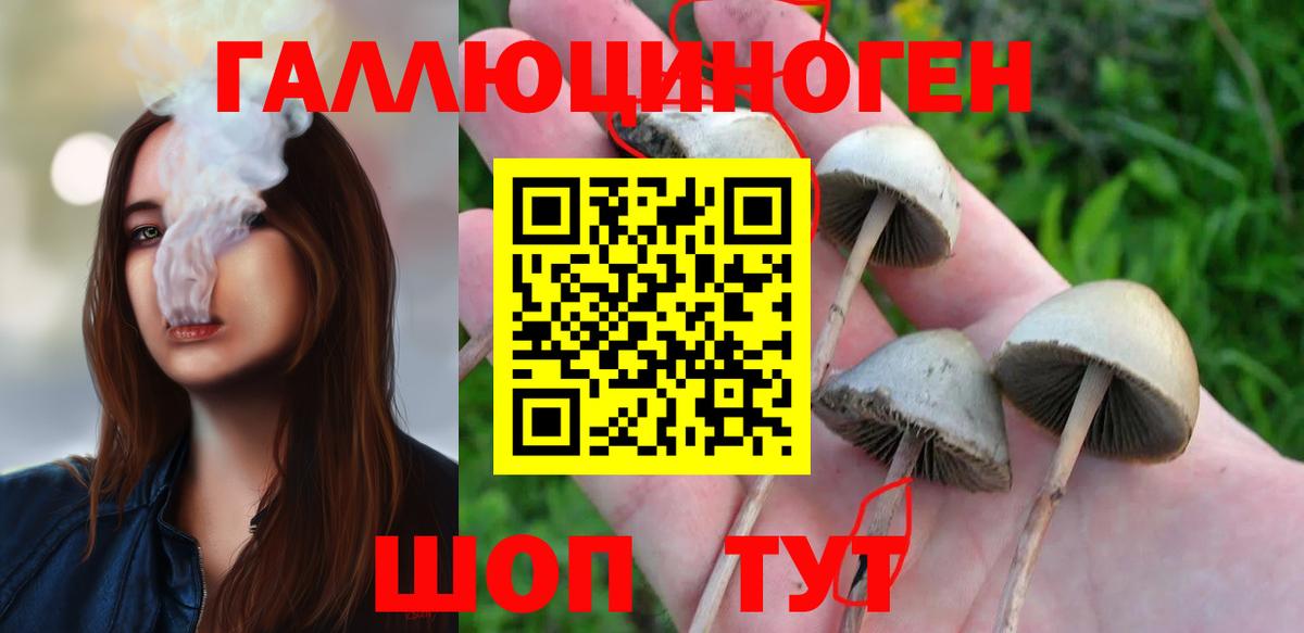 Галлюциногенные грибы GOLDEN TEACHER Боровичи