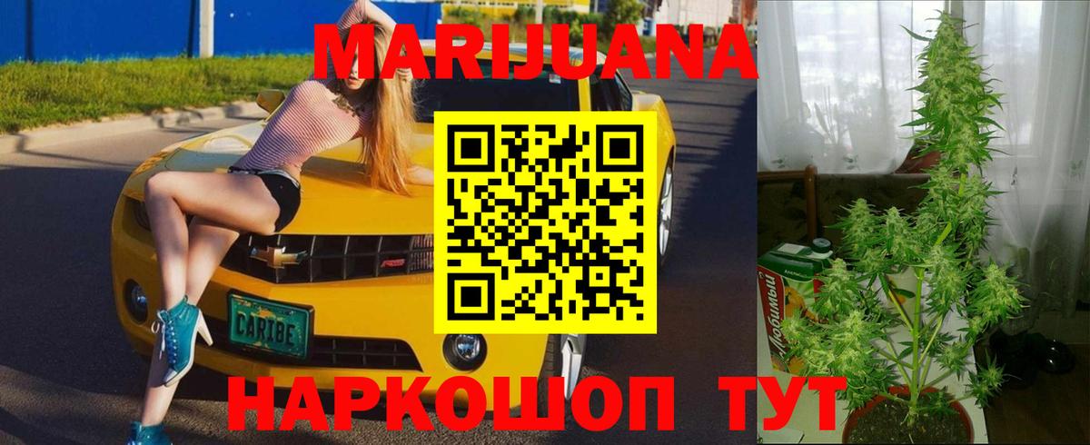 Бошки Шишки план  Вход с VPN  Конопля ГИДРОПОН  Шишки марихуана сатива  Боровичи 